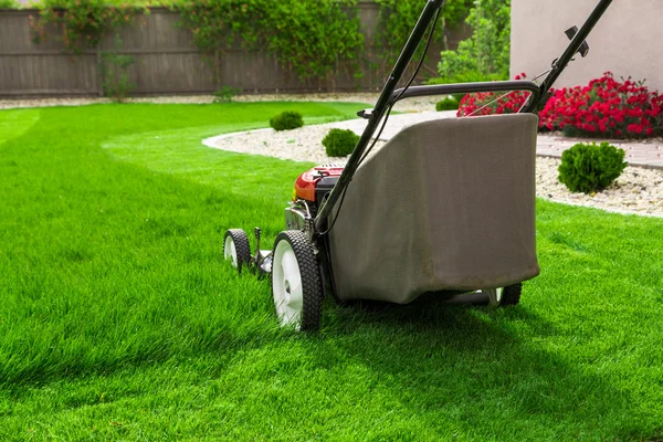 Lawn mower on a fresh-cut lawn